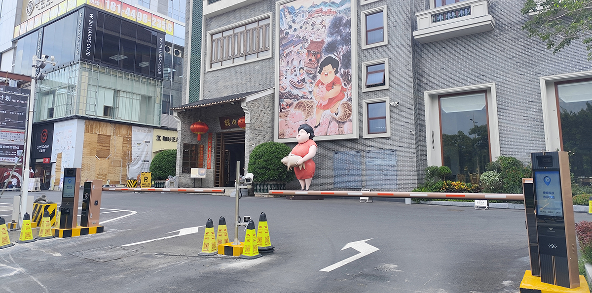 Parking System in Commercial Complex